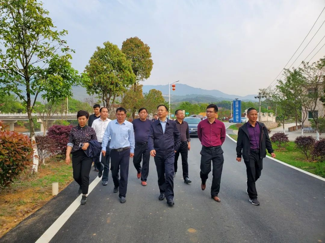 县委副书记,县长曾国祥开展巡河调研