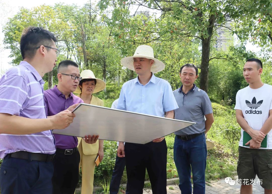 莲花:以人民为中心 开创城建新格局